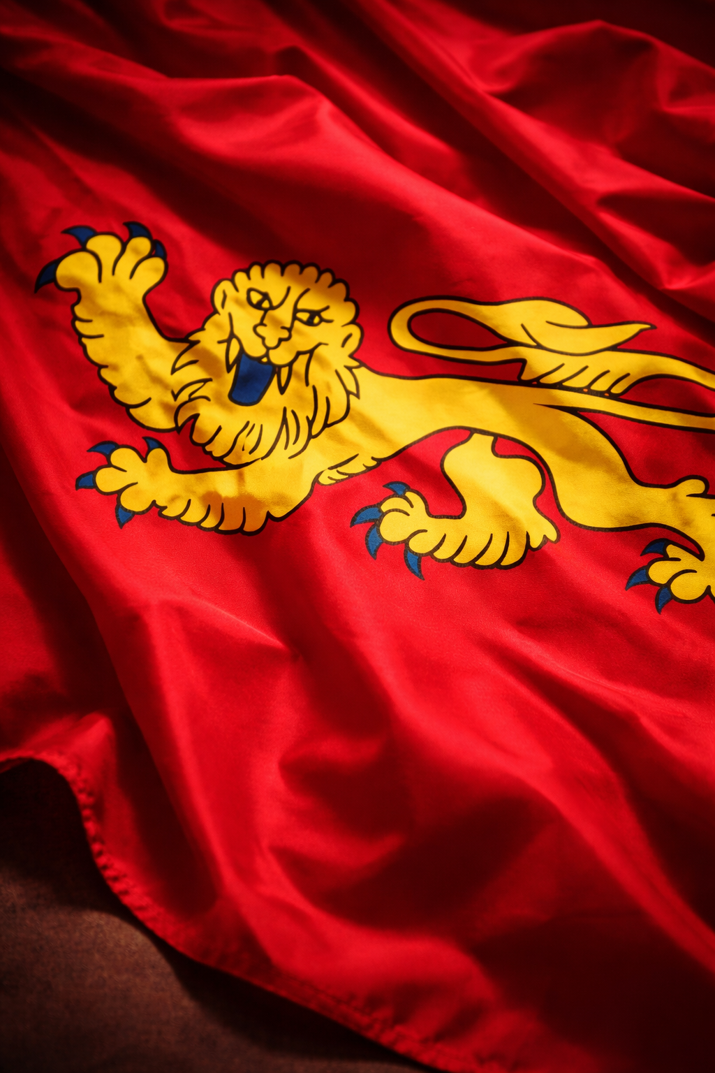 Drapeaux de nos régions